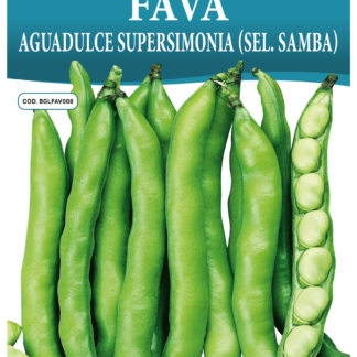 Fève Aguadulce Supersimonia (Sel. Samba)