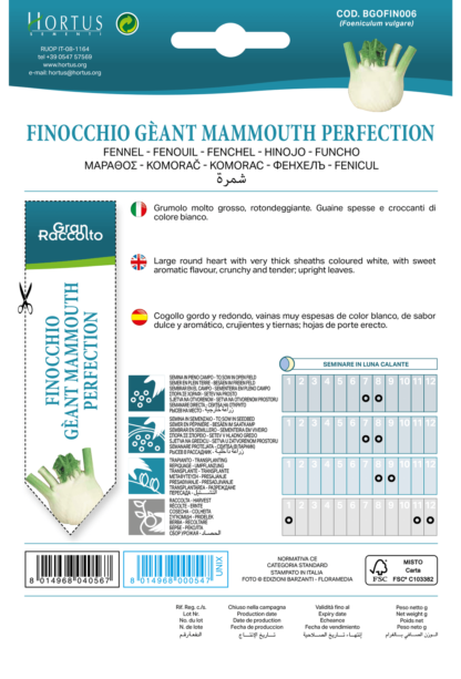 Fenouil géant Mammouth Perfection