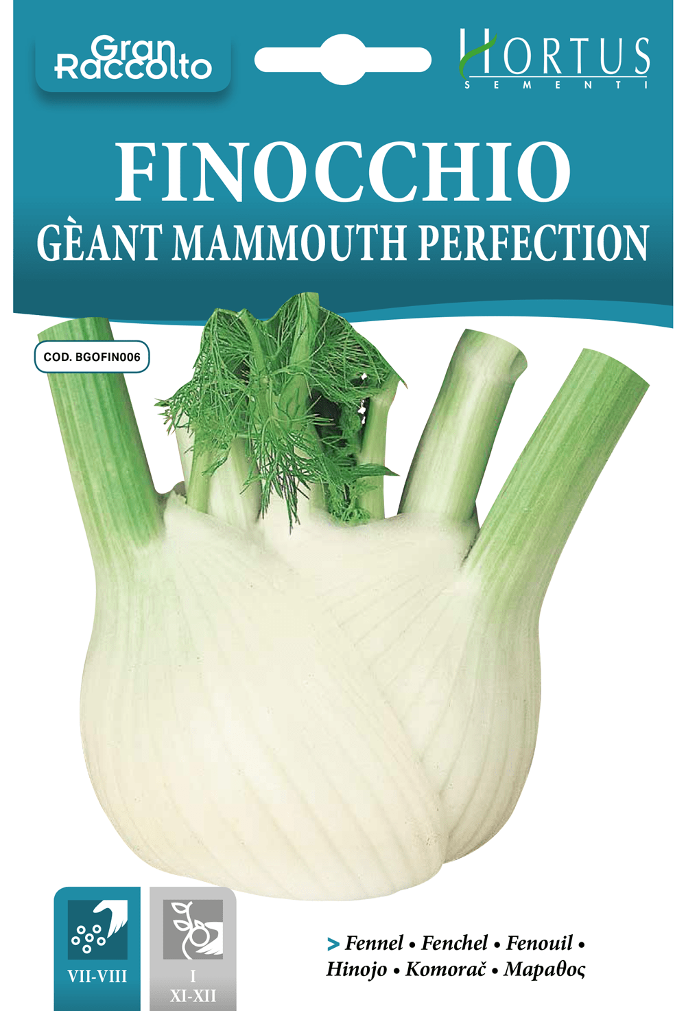 Fenouil géant Mammouth Perfection