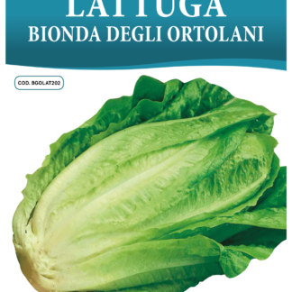 Laitue romaine blonde Degli Ortolani