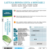 Laitue romaine blonde Lenta a Montare 2