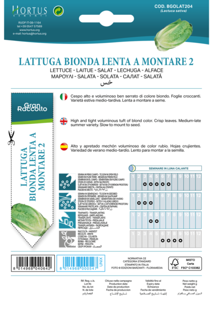 Laitue romaine blonde Lenta a Montare 2