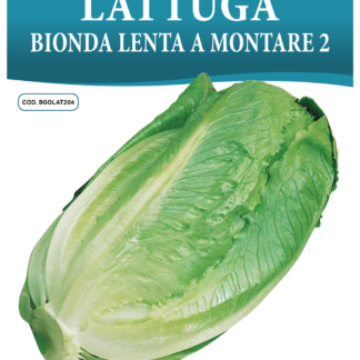 Laitue romaine blonde Lenta a Montare 2