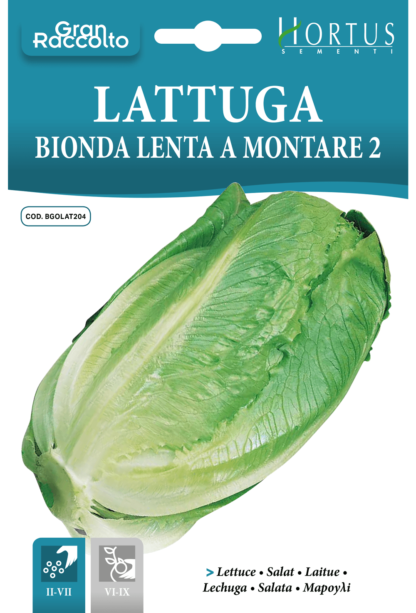 Laitue romaine blonde Lenta a Montare 2