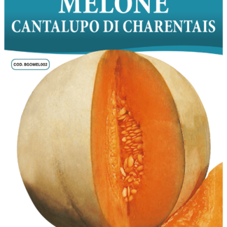 Melon Cantaloup Charentais
