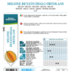 Melon Retato Degli Ortolani