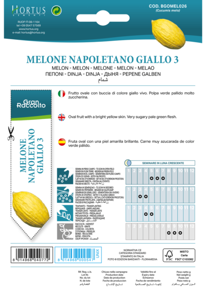 Melon jaune Napoletano 3