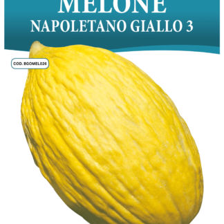 Melon jaune Napoletano 3