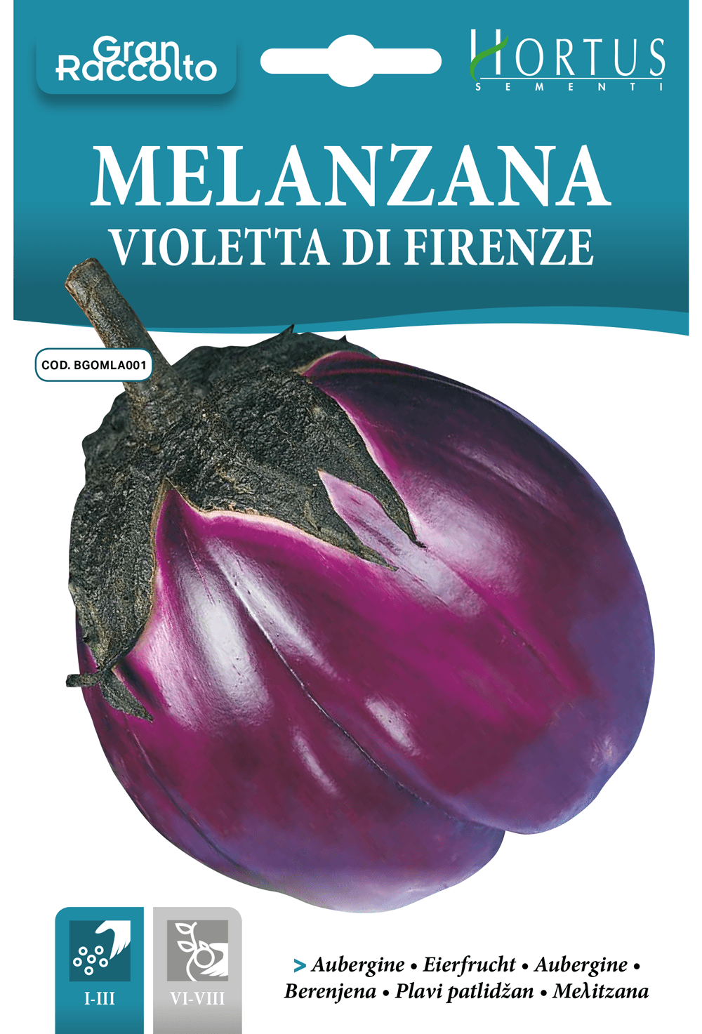 Aubergine violette de Florence