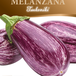 Aubergine Tsakoniki