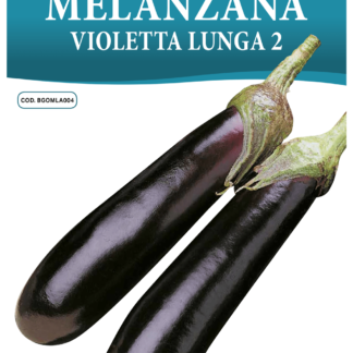 Aubergine violette longue 2
