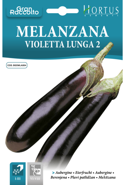 Aubergine violette longue 2