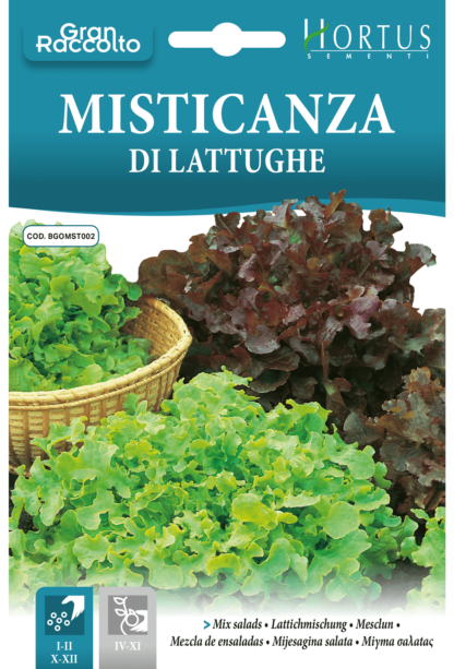 Mesclun de laitues