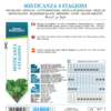 Mesclun 4 saisons