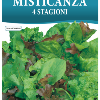 Mesclun 4 saisons