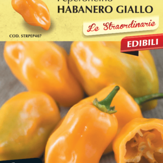 Piment Habanero jaune