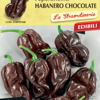 Piment Habanero noir