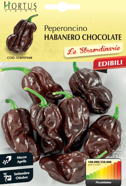 Piment Habanero noir