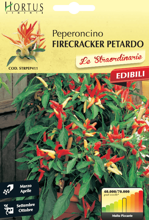 Piment Firecracker Petardo