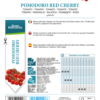Tomate cerise Red Cherry