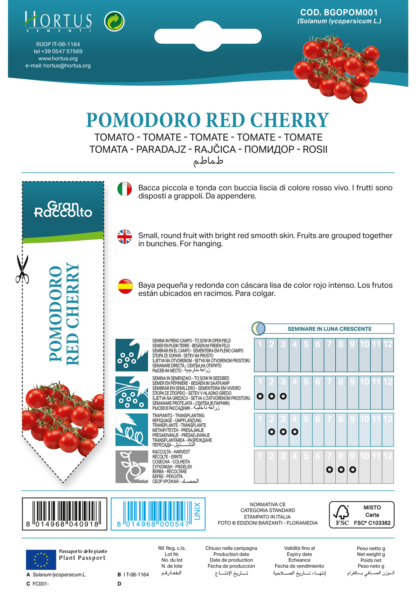 Tomate cerise Red Cherry