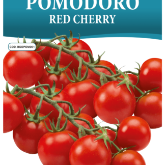 Tomate cerise Red Cherry