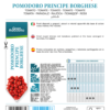 Tomate Principe Borghese