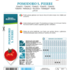 Tomate Saint Pierre