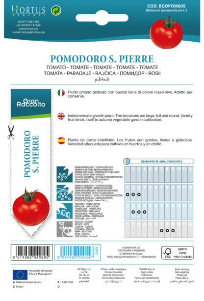 Tomate Saint Pierre