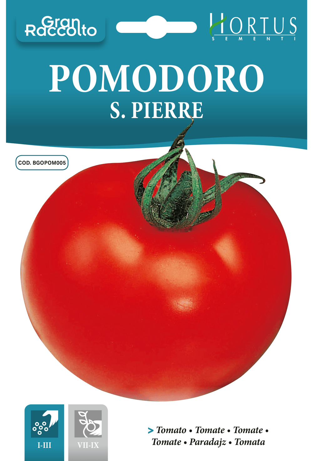 Tomate Saint Pierre