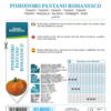 Tomate Pantano Romanesco