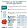 Tomate Costoluto Fiorentino