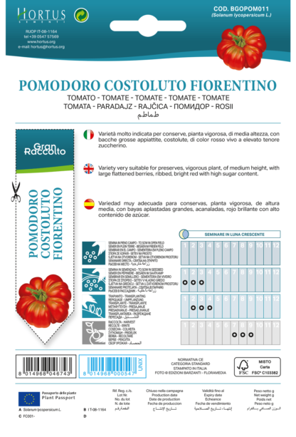 Tomate Costoluto Fiorentino