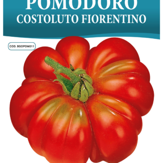 Tomate Costoluto Fiorentino