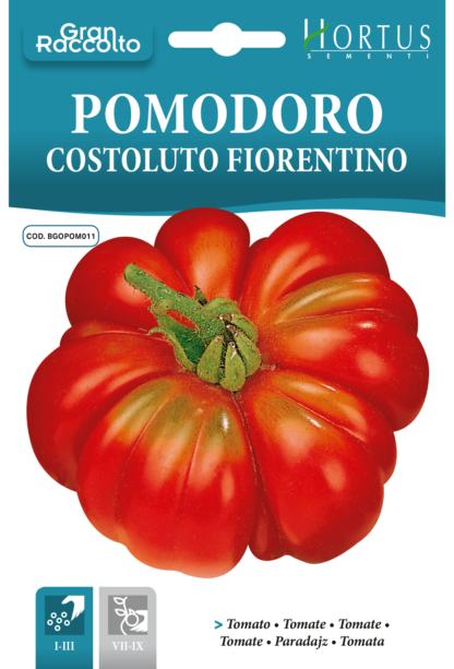 Tomate Costoluto Fiorentino