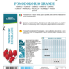 Tomate Rio Grande