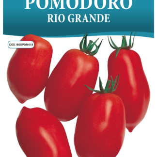 Tomate Rio Grande