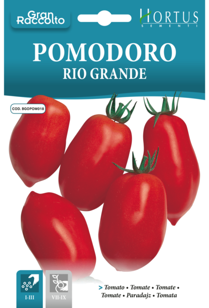 Tomate Rio Grande