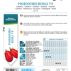 Tomate Roma VF