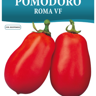 Tomate Roma VF