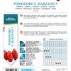 Tomate San Marzano 3