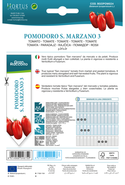 Tomate San Marzano 3