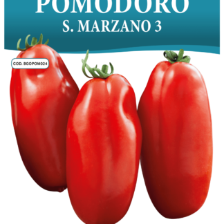 Tomate San Marzano 3