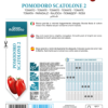 Tomate Scatolone 2