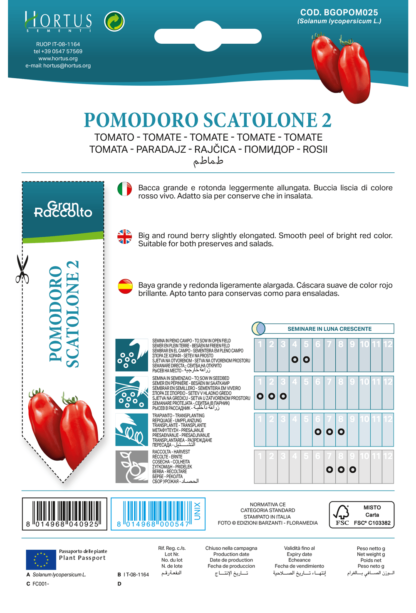 Tomate Scatolone 2