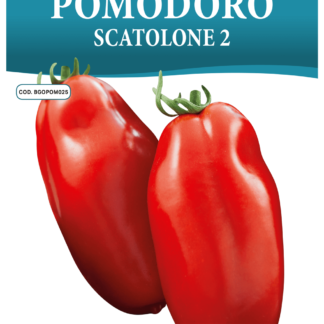 Tomate Scatolone 2