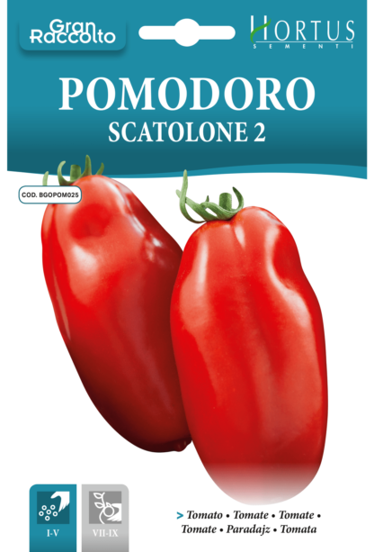 Tomate Scatolone 2