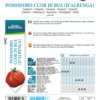 Tomate Coeur de Boeuf d'Albenga