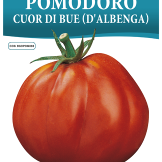 Tomate Coeur de Boeuf d'Albenga