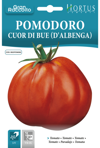 Tomate Coeur de Boeuf d'Albenga